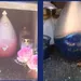 Twee kinderurnen gestolen op begraafplaats Rusthof in Leusden