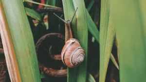 Foto: Pexels