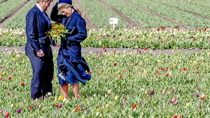 Máxima tussen de tulpen: wie staat er steviger?