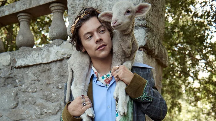 Te schattig: Harry Styles met babydieren in nieuwe Gucci campagne