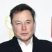 Elon Musk installeert chip met computerspel in hersenen van aap