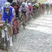 Tom Boonen