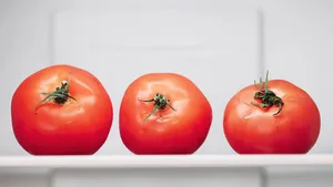 8 hardnekkige keukenmythes over eten bewaren, ontkracht