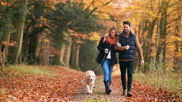 sterrenbeelden herfst