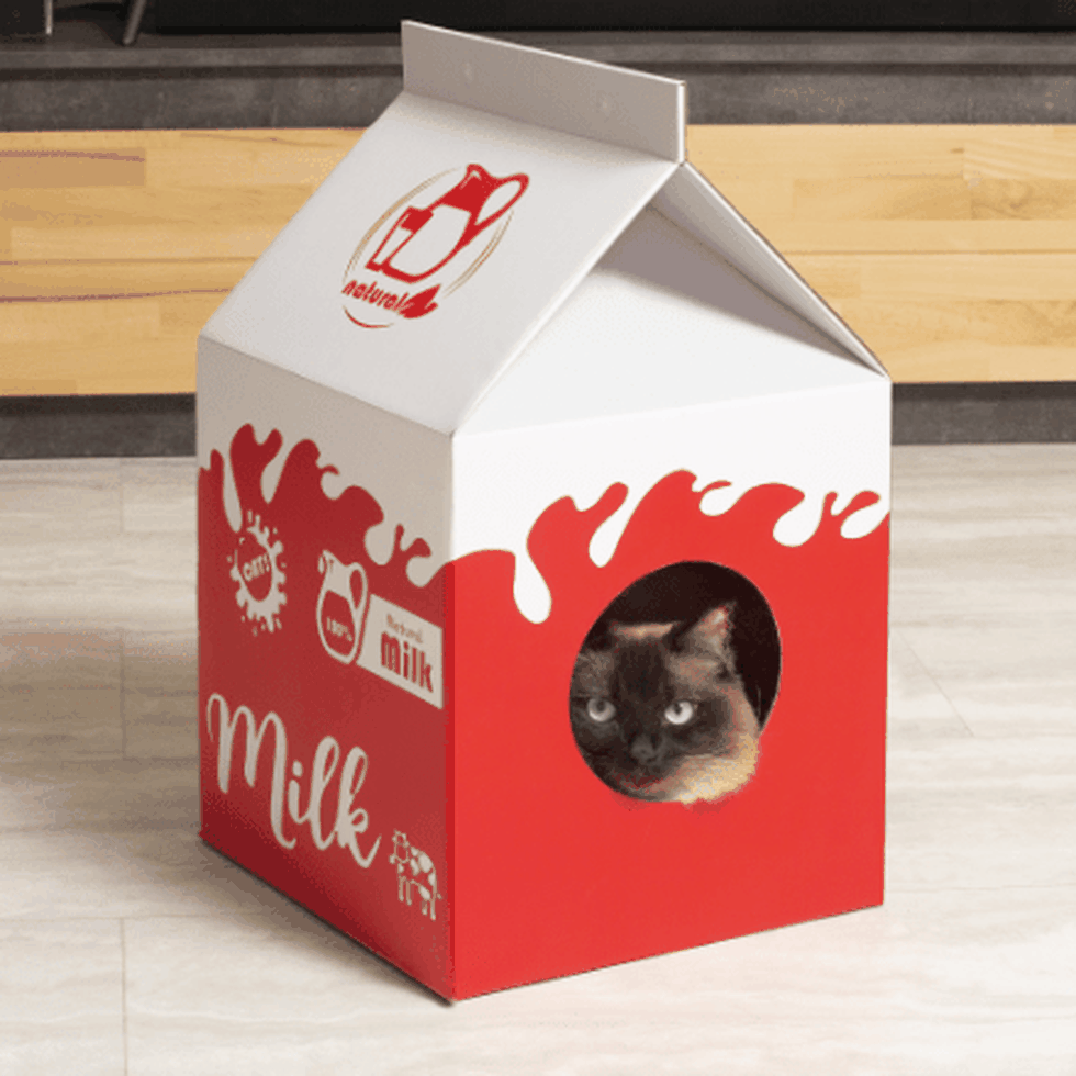 Vanaf volgende week bij Aldi: een melkpak-huis voor katten Upcoming