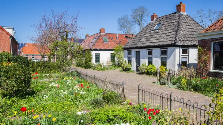 Street with old houses and colorful gardens in Zuidhorn
