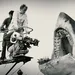 Jaws