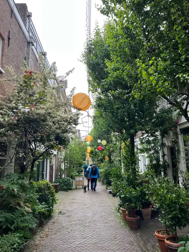 Leuke straatjes in Haarlem 