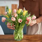 tulpen langer mee