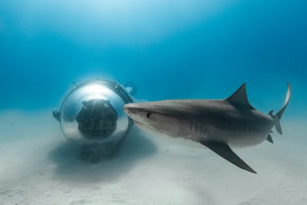 Onderzeeër Super Sub