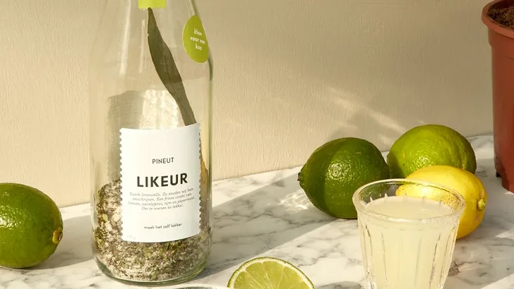 Tuinfeest? DIY zomerlikeuren! 
