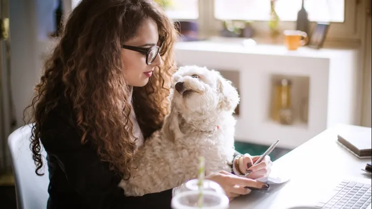 Bewezen: dít onthouden honden van wat je doet