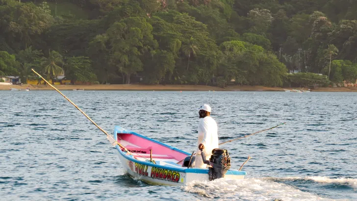 Visser op Tobago