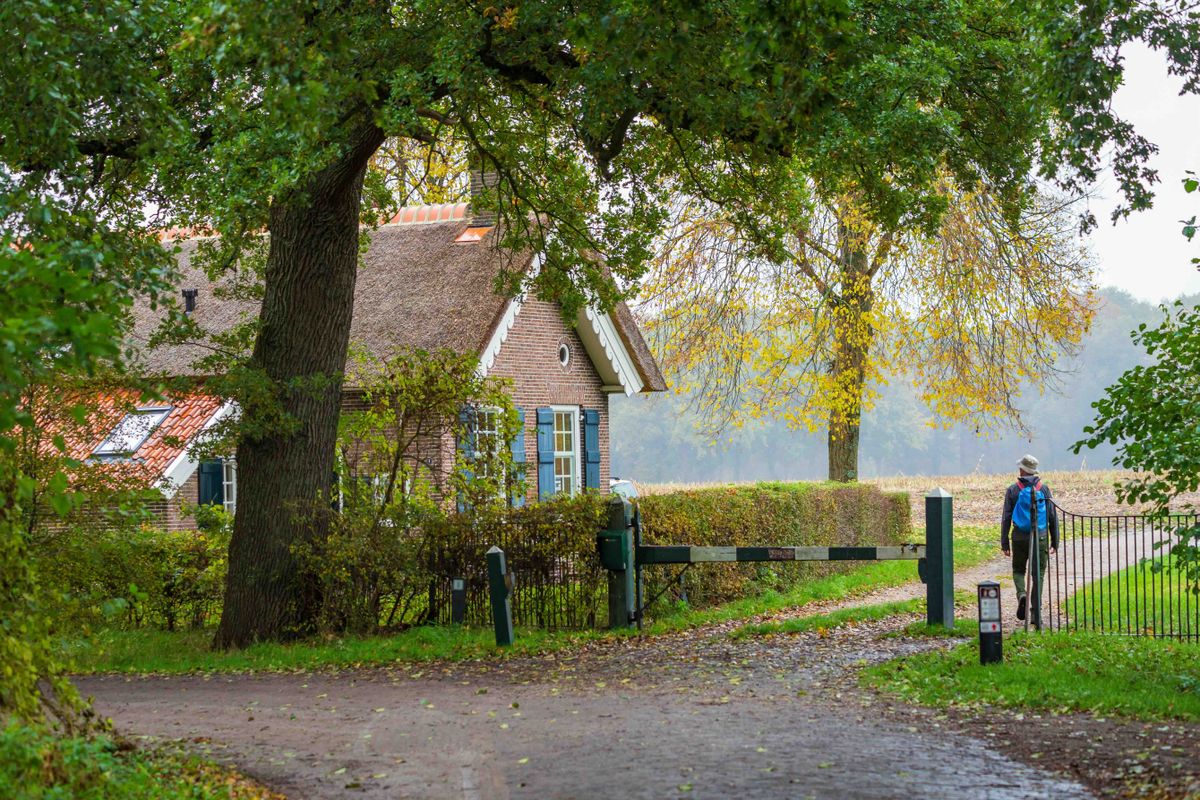 Landgoed Dickninge: wandelen tussen herfstkleuren in Drenthe | Noorderland