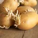 Doe dit trucje van je opa en oma na en je aardappels blijven letterlijk eeuwig goed