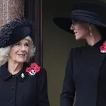 Remembrance Day met sterk uitgedunde Windsors