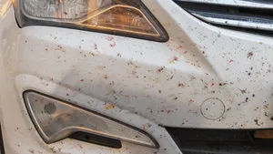 Vergeet dure sprays of de wasstraat: met deze truc is je voorruit zo weer vlek- en insectenvrij