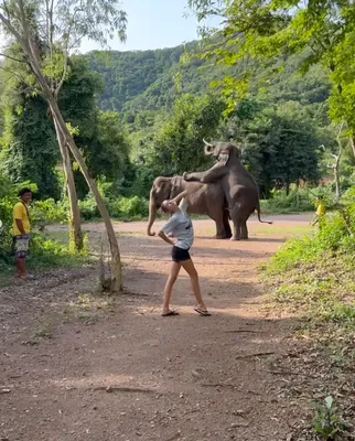 Maria-Olympia in Pattaya