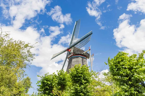 Molen de Vier Winden in Pieterburen