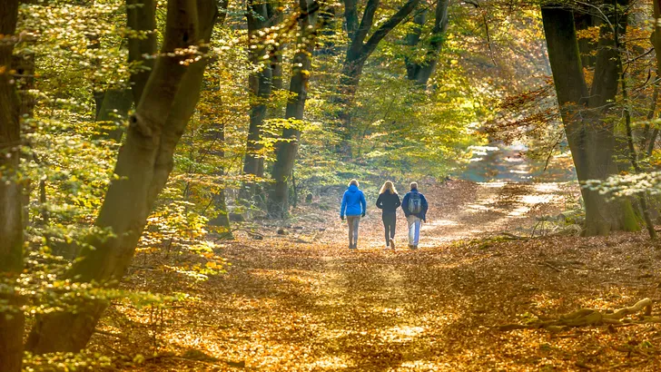 wandelen veluwe