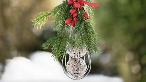 DIY met vogelvoer