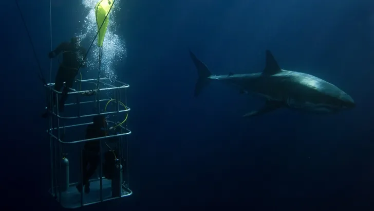 avontuur reizen reistips