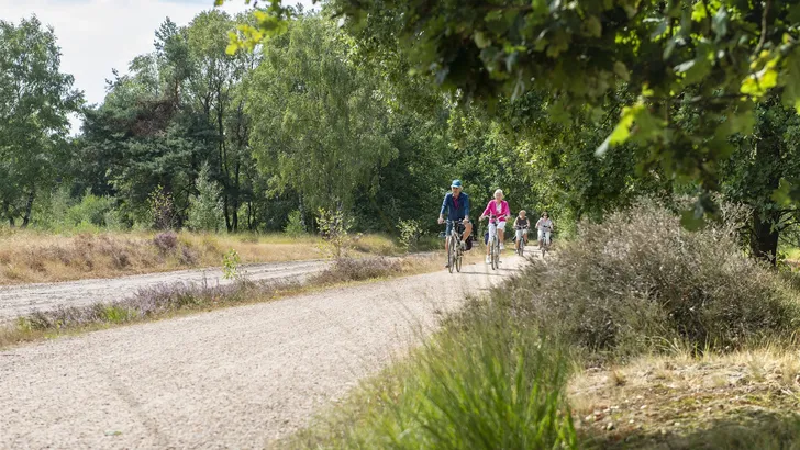 Fietsers Geeserbos