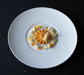 Novo New Dining