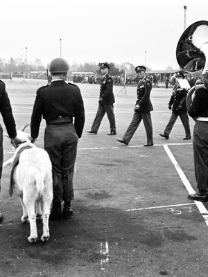 Prins Bernhard inspecteert in 1967 in Ermelo de Stoottroepen en haar mascotte.