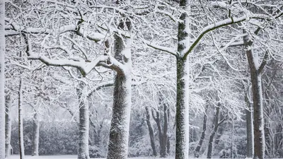 Winterbeeld van de afgelopen dagen