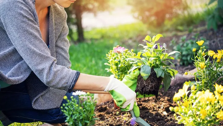 Vrouw bezig in de tuin tijdens lenteweer.