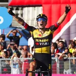 Roglic