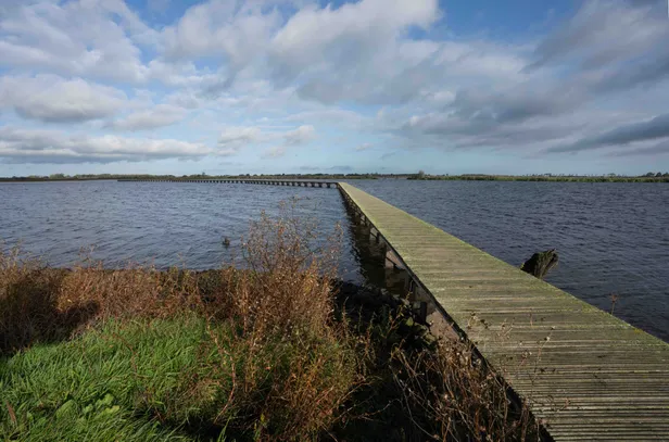 Het Knuppelpad