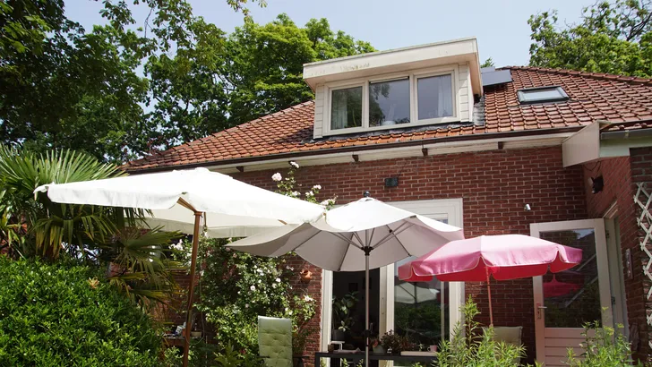 tuin