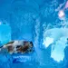 ZIEN: het legendarische ijshotel is terug