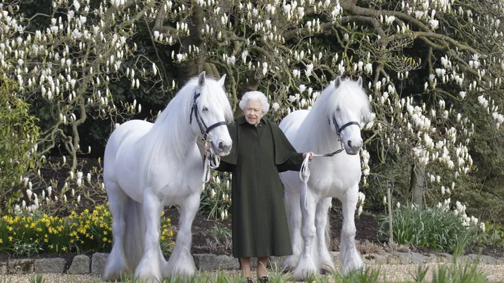 De Queen viert 96ste verjaardag met haar geliefde paarden