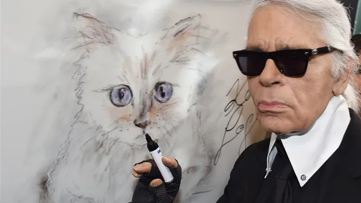 Zó ziet de collectie van Choupette Lagerfeld eruit