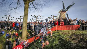 Van der Poel start in Vestingcross Hulst, gevatte Van Aert zegt deelname toe