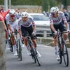 Tim Wellens over Milaan-Sanremo: 'We hebben al met elkaar gelachen dat we de Cipressa in minder dan negen minuten gaan doen' | Wieler Revue