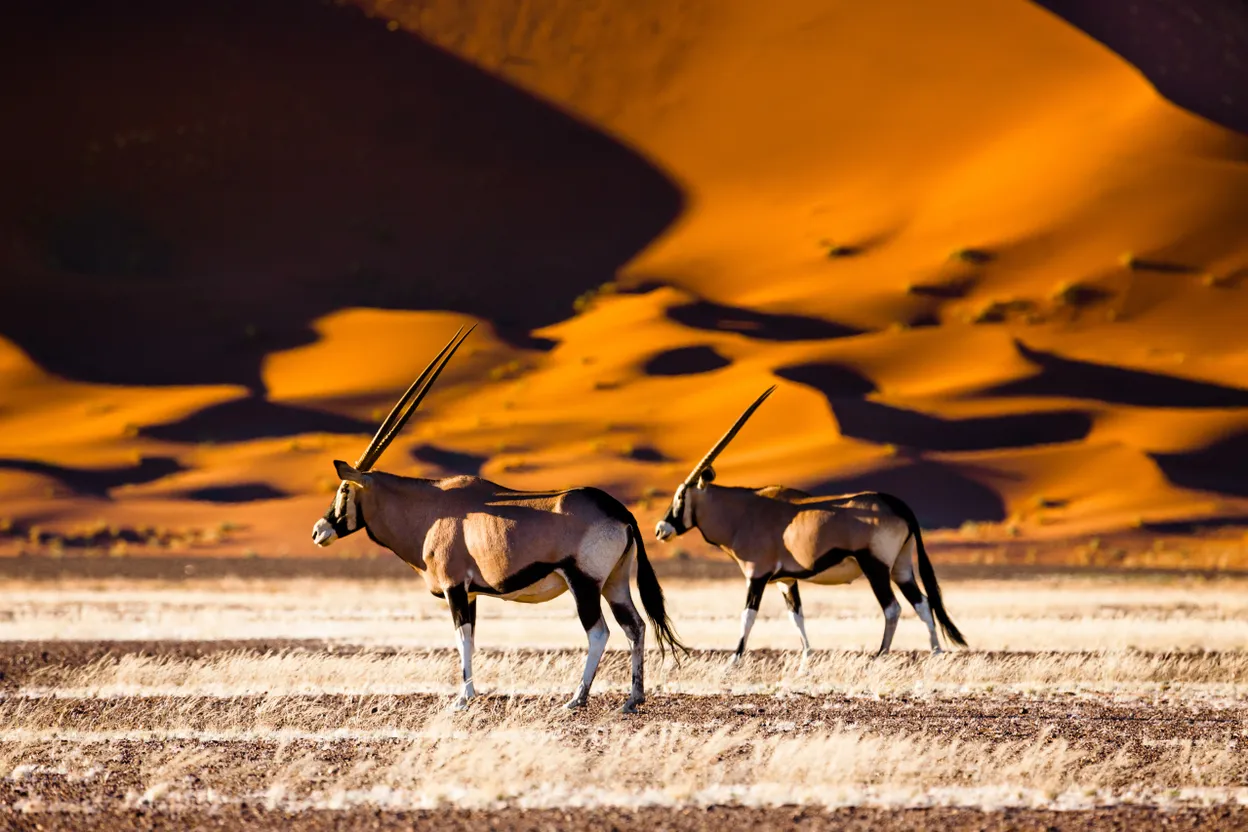 Namibië