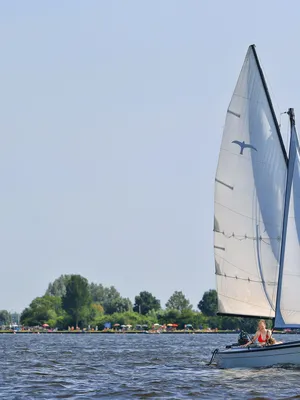 ‘Perfecte’ zomer met kans op hitterecords voorspeld