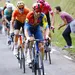 Mollema