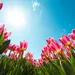 lente weer - jurken special