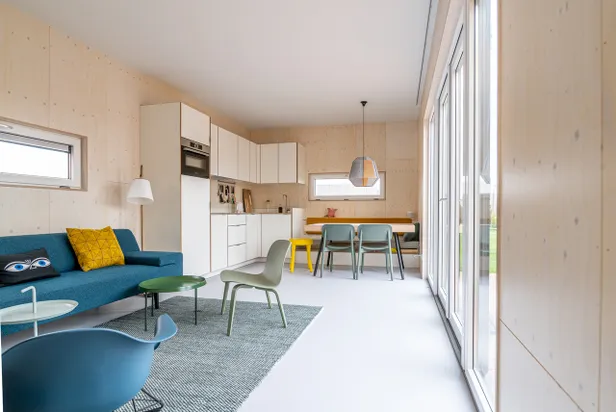 Vlas op Terschelling