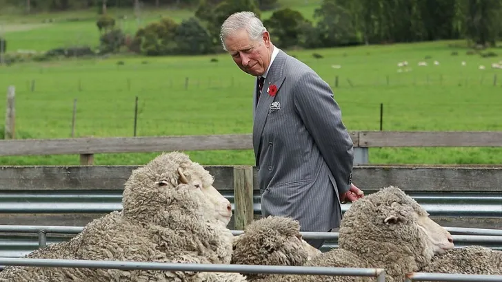 Prins Charles vond foto's William & Kate smakeloos