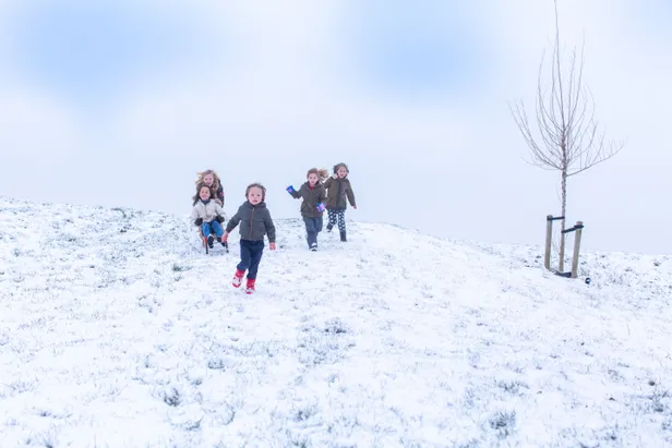 Het Twinkelend Winterfeest bij bezoekerscentrum Dwingelderveld
