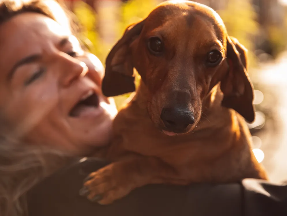 Foto 1 van Bistro Eddie