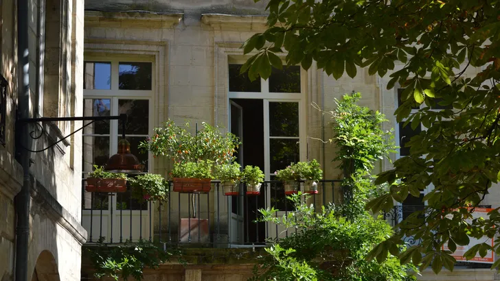 Bordeaux is het nieuwe Parijs