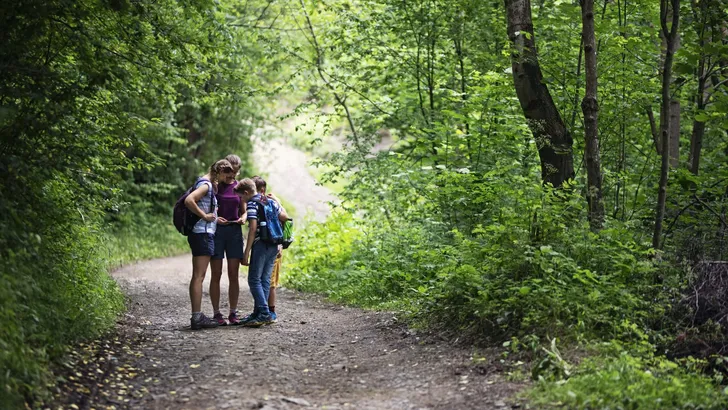 Hiking family hiking on the forest path into the spring