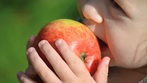 PFAS en pesticiden op appels: moeten we ons zorgen maken?